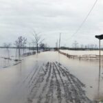 gauhati-hc-notice-to-govts-on-plea-linking-illegal-mining-to-upper-assam-floods