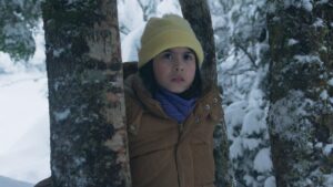 oscars:-chile-picks-‘the-meltdown’-as-best-international-feature-submission