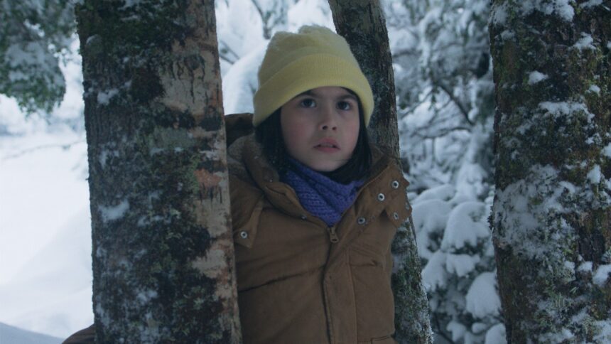 oscars:-chile-picks-‘the-meltdown’-as-best-international-feature-submission
