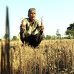 unjha’s-isabgol-trade-grinds-to-a-halt-over-gst