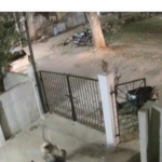 91-year-old-woman-dies-after-monkey-attack-outside-home-in-karnataka’s-koppal