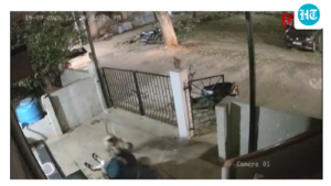 91-year-old-woman-dies-after-monkey-attack-outside-home-in-karnataka’s-koppal