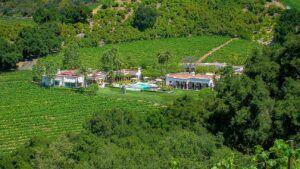 historic-malibu-winery-closes-after-losing-tasting-room-to-palisades-fire