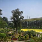 delhi-l-g-orders-safety-audit-of-all-delhi-parks-after-aastha-kunj-gangrape