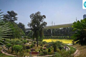 delhi-l-g-orders-safety-audit-of-all-delhi-parks-after-aastha-kunj-gangrape
