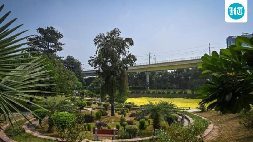 delhi-l-g-orders-safety-audit-of-all-delhi-parks-after-aastha-kunj-gangrape