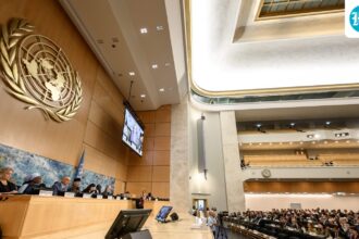 j&k-activist-slams-pok-protest-crackdown,-‘lack-of-civic-space’-at-unhrc:-‘stop-civilian-killings’