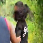 another-teen-sexually-harassed-in-bihar’s-samastipur-after-jamui-horror;-4-arrested