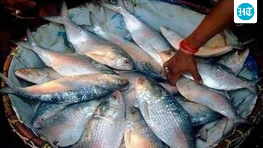 bangladesh-stops-importing-hilsa-from-india;-dhaka-may-not-export-fish-to-india