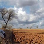 uddhav-thackeray-seeks-special-assembly-session-on-drought,-farm-loans-in-maharashtra