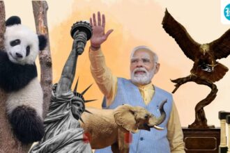from-pandas-to-precious-stones:-the-hidden-language-of-gift-diplomacy