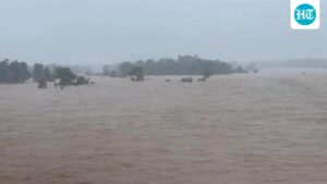 heavy-rain-floods-chhattisgarh;-one-dead,-bastar-villages-cut-off,-schools-shut-in-8-districts