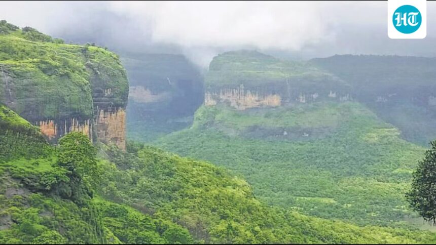 protecting-western-ghats:-k’taka-seeks-a-ground-survey,-environmentalists-back-eco-zone
