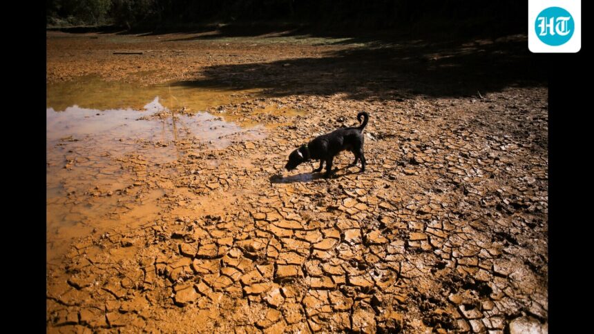 maharashtra-announces-drought-in-265-of-358-sub-districts
