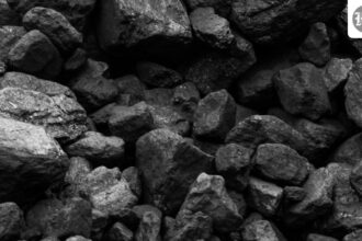india-orders-captive-coal-plants-to-maximise-power-output-on-surging-demand