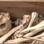 skeleton-like-object-found-in-scrap-in-central-delhi-during-cleanliness-drive;-police-launch-probe