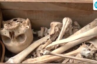 skeleton-like-object-found-in-scrap-in-central-delhi-during-cleanliness-drive;-police-launch-probe