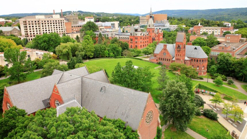 ‘south-park’-alum-behind-viral-political-websites-targets-men-named-in-cornell-chi-phi-lawsuit