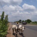 irregularities-in-land-conversion,-encroachment-in-odisha-tehsils:-cag-report