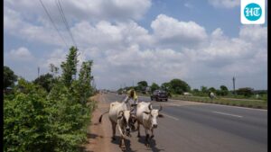 irregularities-in-land-conversion,-encroachment-in-odisha-tehsils:-cag-report