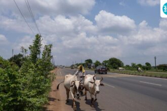 irregularities-in-land-conversion,-encroachment-in-odisha-tehsils:-cag-report