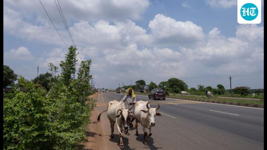 irregularities-in-land-conversion,-encroachment-in-odisha-tehsils:-cag-report