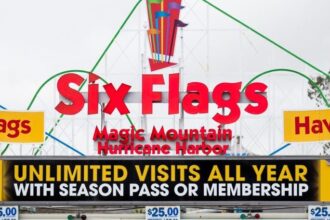six-flags-x2-roller-coaster-closure:-brain-injury-&-surgery-emergency-explained