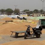 centre-hikes-rabi-msps-for-2027-28-to-boost-oilseeds;-wheat-raised-by-₹25