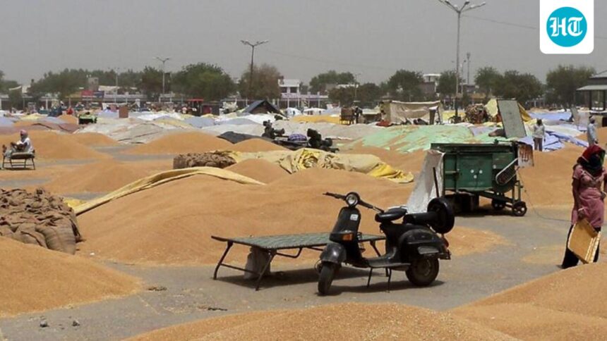centre-hikes-rabi-msps-for-2027-28-to-boost-oilseeds;-wheat-raised-by-₹25