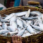 ‘don’t-eat,-buy-or-sell-fish-caught-in-nepal-floodwaters’:-bihar-warns-citizens