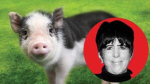 “i-lost-17-oscars,-but-i-won-a-pig”:-how-diane-warren-saved-wilbur