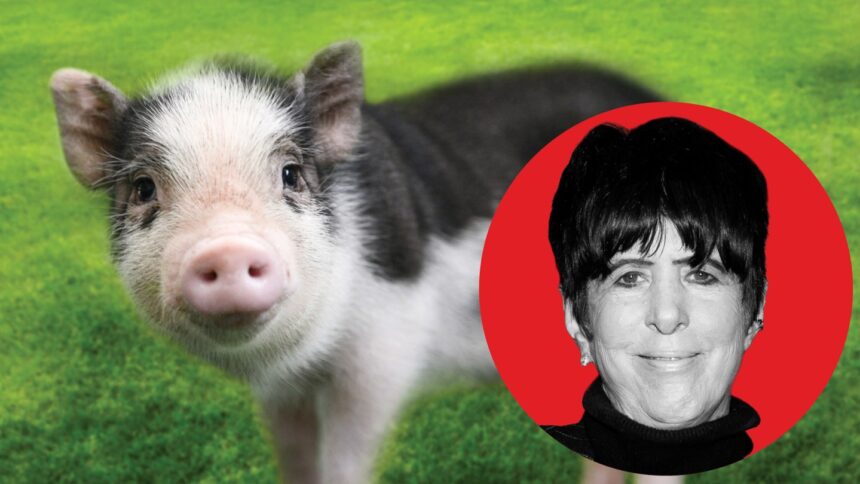 “i-lost-17-oscars,-but-i-won-a-pig”:-how-diane-warren-saved-wilbur