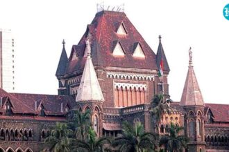 indian-law-governing-child-custody-does-not-recognise-joint-parenting:-bombay-hc