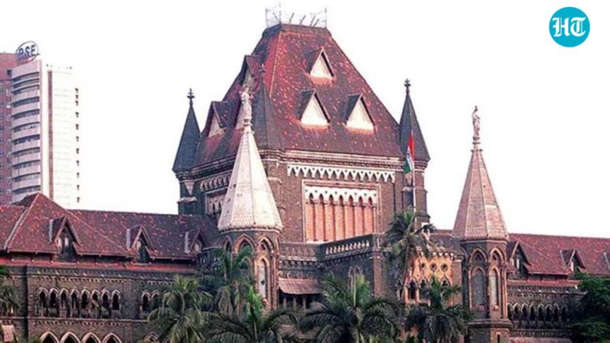 indian-law-governing-child-custody-does-not-recognise-joint-parenting:-bombay-hc