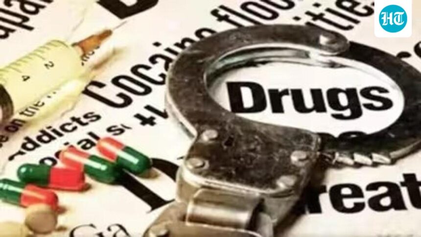 three-men-arrested-with-80,000-yaba-tablets-in-tripura:-police
