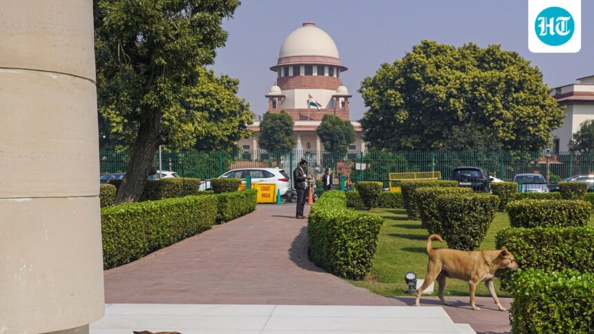 explained:-the-unused-constitutional-clause-on-supreme-court-appointments