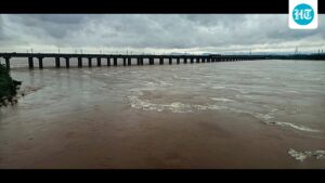 andhra-family-jumps-off-bridge-into-godavari,-woman-rescued,-3-missing:-police