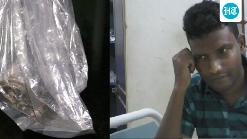 odisha-watchman-bitten-by-krait,-cycles-to-hospital-with-snake-in-bag;-critical