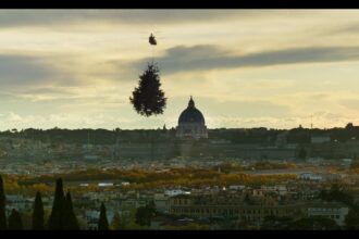 ‘holy-wood-dust’-review:-victor-kossakovsky’s-soothing,-if-slightly-dull,-documentary-will-make-you-want-to-hug-a-tree