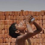 august-joint-warmest-month-ever-recorded-globally,-tied-with-july-2023:-c3s-report