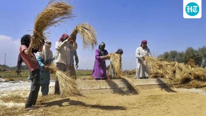 india’s-farm-yields-rise,-but-china-continues-to-produce-twice-as-much-grain