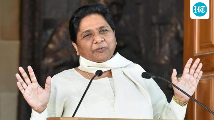 ‘final-decision’:-mayawati-says-no-political-role-for-nephews-akash,-ishan-in-bsp