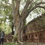 hauz-khas,-jantar-mantar-restrict-entry-as-10-monuments-undergo-repair-across-delhi