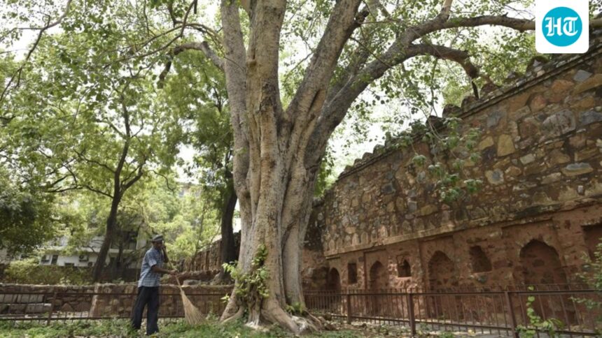 hauz-khas,-jantar-mantar-restrict-entry-as-10-monuments-undergo-repair-across-delhi