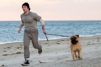 ‘i-play-rocky’-review:-anthony-ippolito-is-an-endearing-pre-stardom-sylvester-stallone-in-peter-farrelly’s-crowd-pleasing-making-of-drama