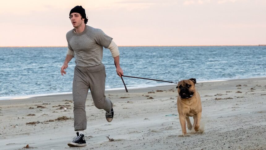 ‘i-play-rocky’-review:-anthony-ippolito-is-an-endearing-pre-stardom-sylvester-stallone-in-peter-farrelly’s-crowd-pleasing-making-of-drama