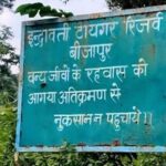 indravati-tiger-reserve-to-reopen-to-tourists-after-four-decades-from-nov-1