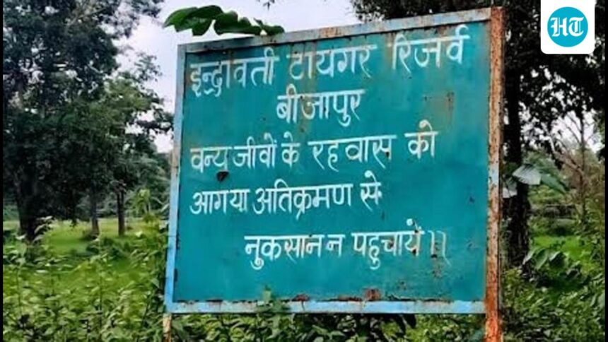 indravati-tiger-reserve-to-reopen-to-tourists-after-four-decades-from-nov-1