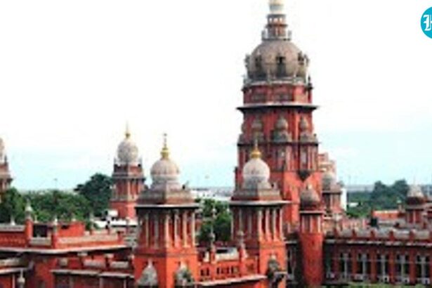 tamil-nadu-woman’s-‘nude-photos’,-late-night-calls-cost-her-child-custody