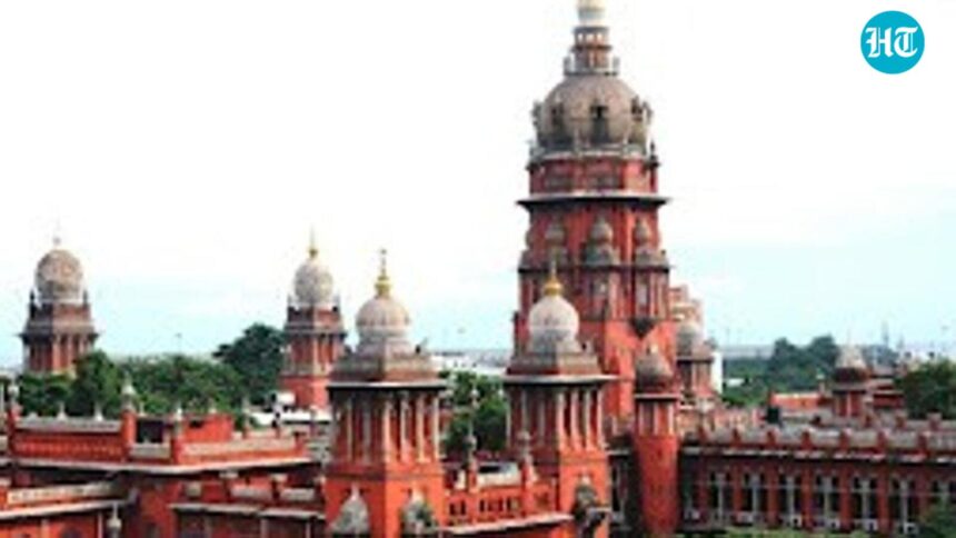 tamil-nadu-woman’s-‘nude-photos’,-late-night-calls-cost-her-child-custody